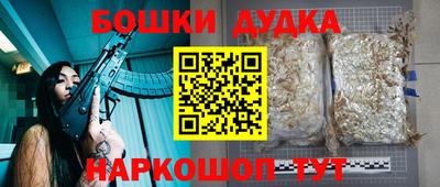 гашик Ливны