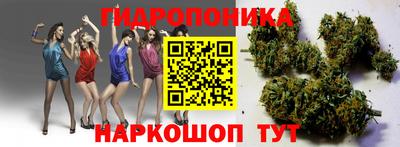 spice Лесосибирск
