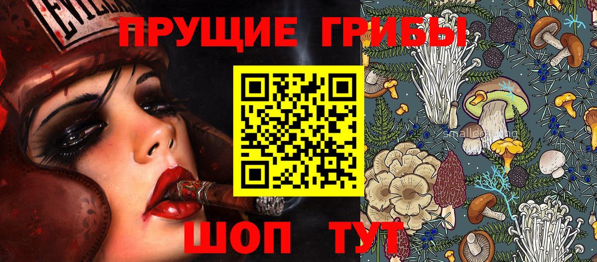 Псилоцибиновые грибы GOLDEN TEACHER Йошкар-Ола