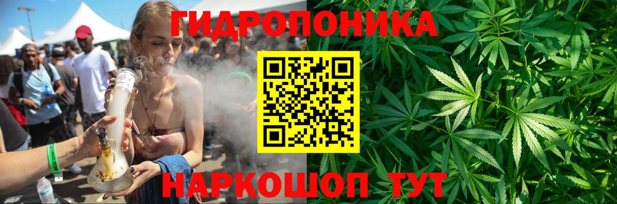 Канабис гибрид Йошкар-Ола
